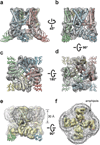 Extended Data Figure 4