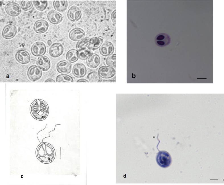 Fig. 3