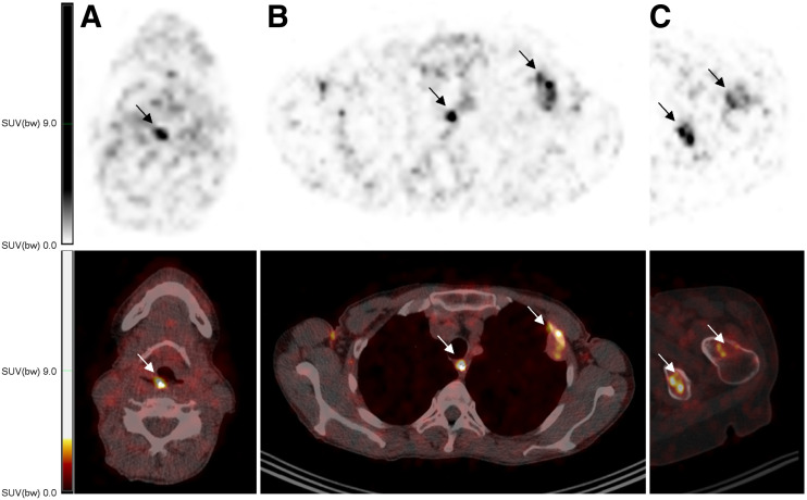 FIGURE 4.