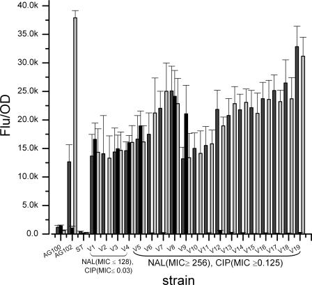 FIG. 1.