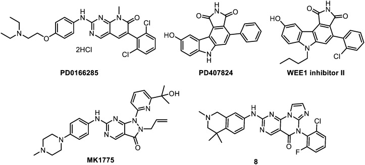 Fig. 8