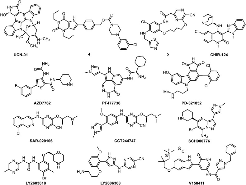 Fig. 6