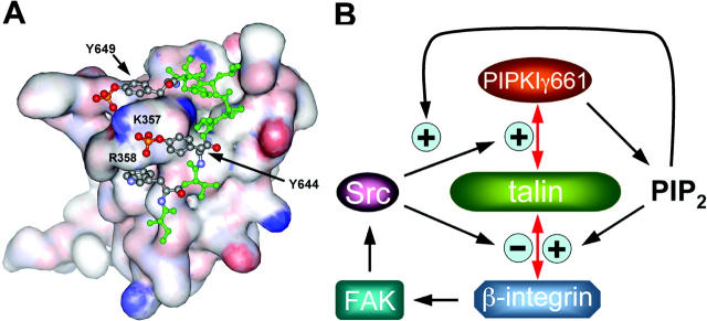 Figure 10.