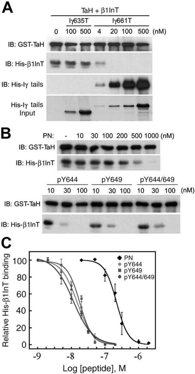 Figure 7.