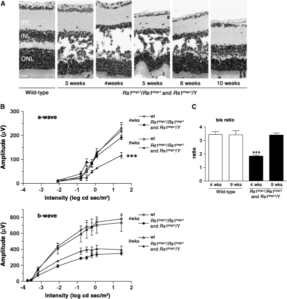 Figure 1.—