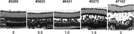 Figure 2.—