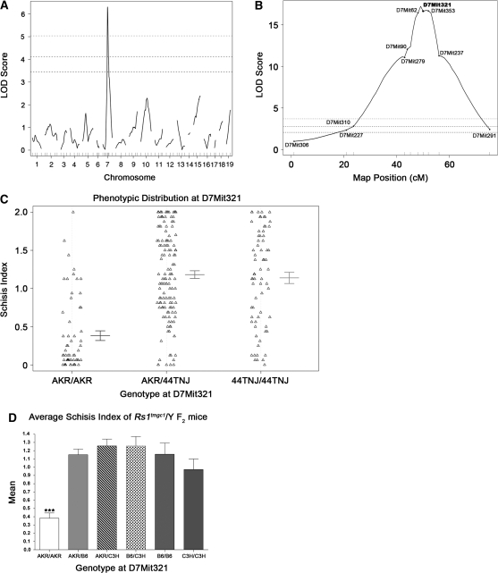 Figure 3.—