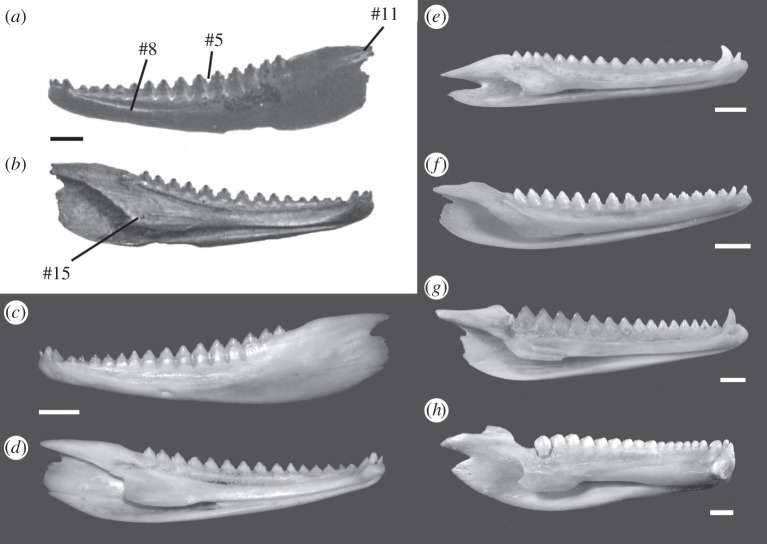 Figure 1.