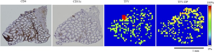 Fig. 3.