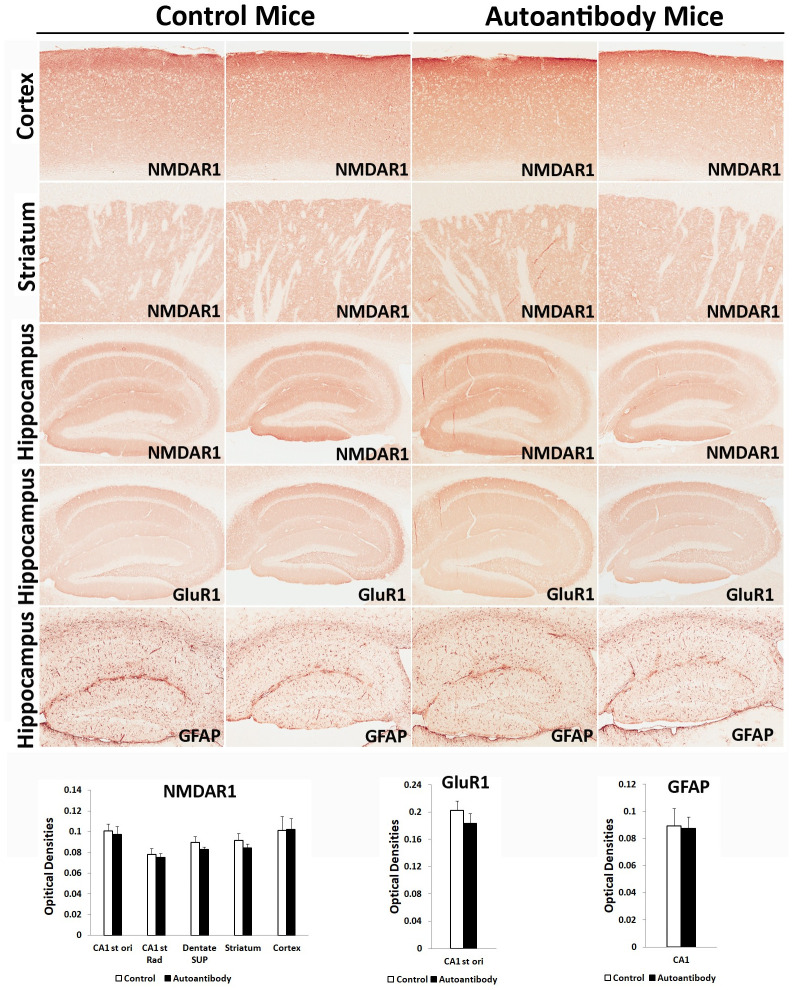 Fig 11