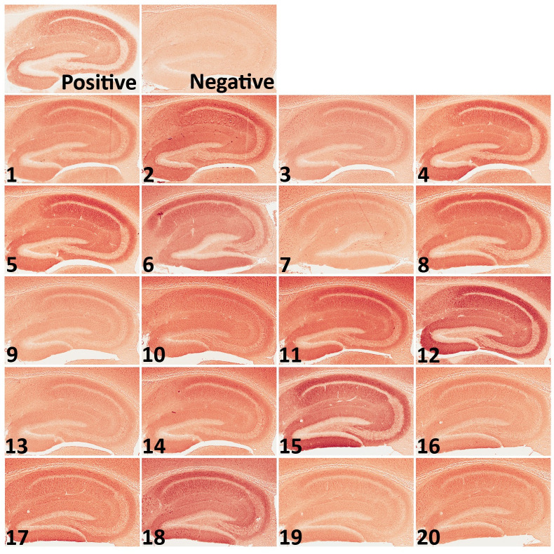 Fig 5