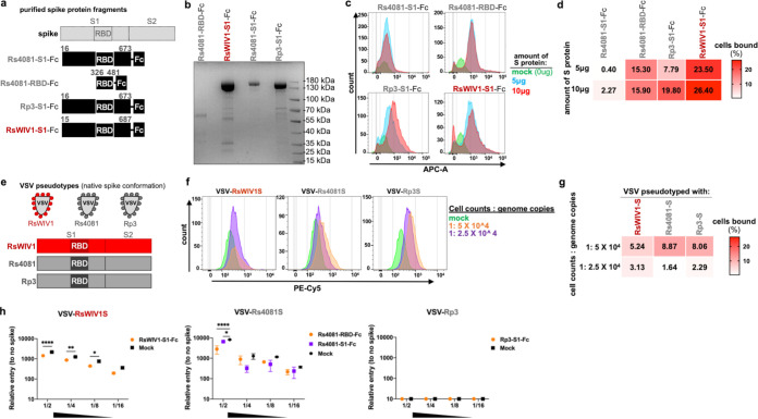 FIG 3