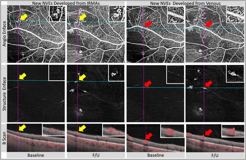 Figure 3.