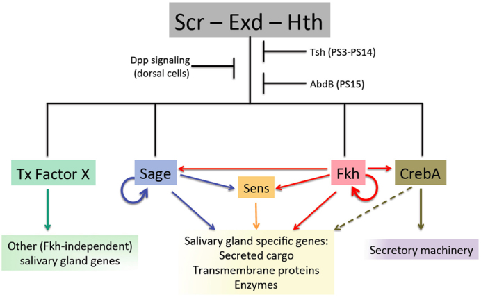 Fig. 7.