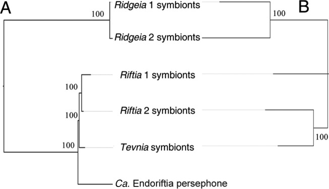 FIG 2