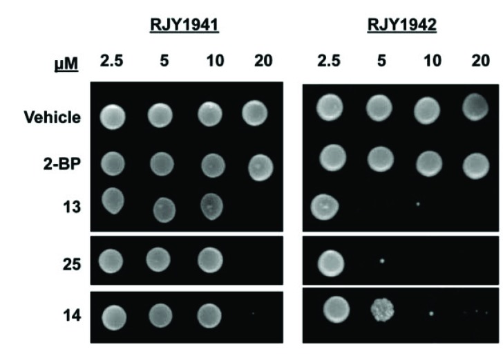 Fig. (10)