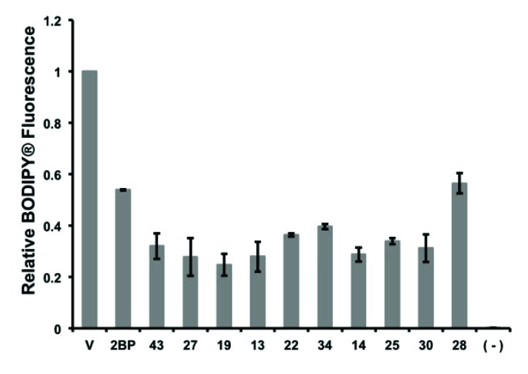 Fig. (6)