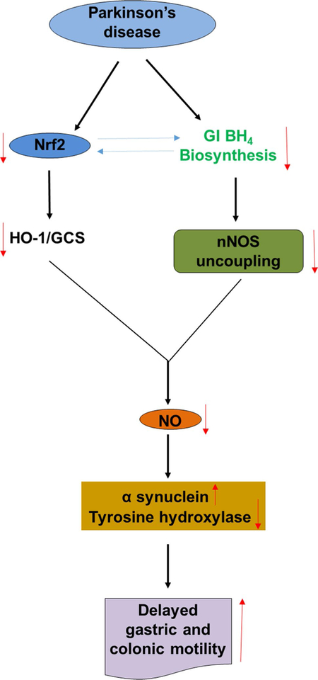 Fig. 12