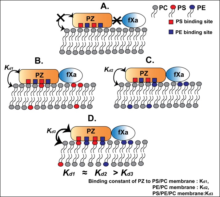 Fig 6