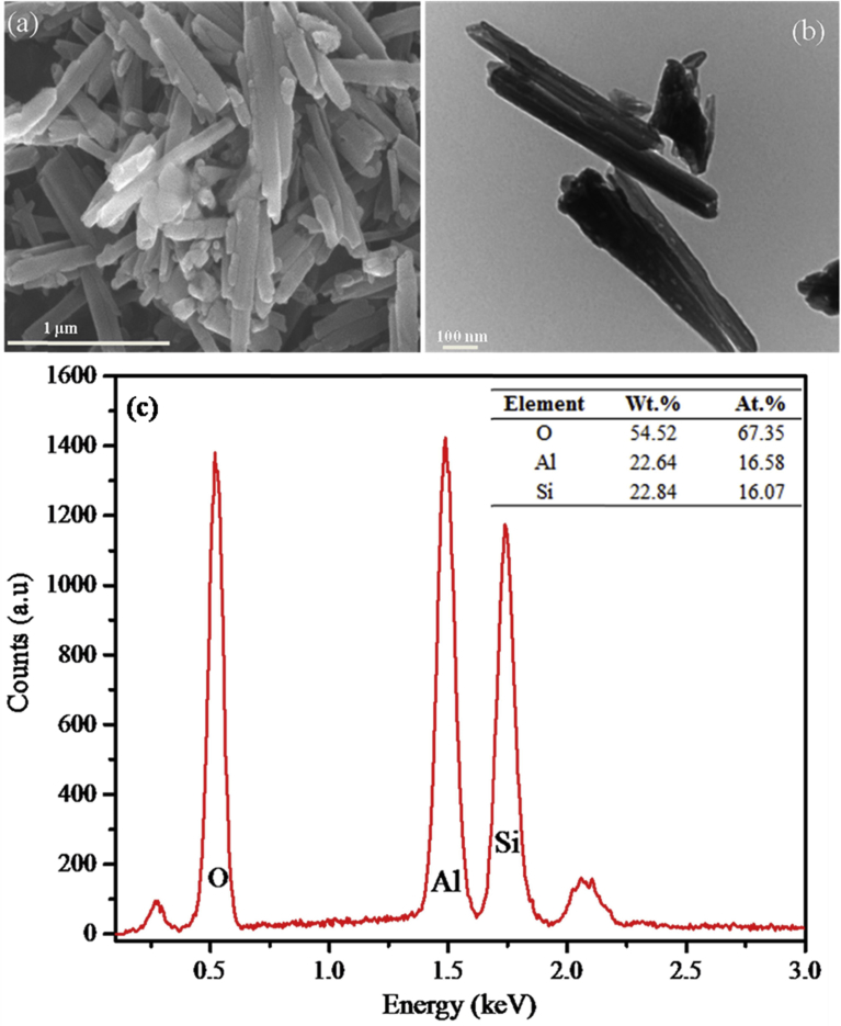 Fig. 1