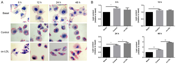 Figure 2.