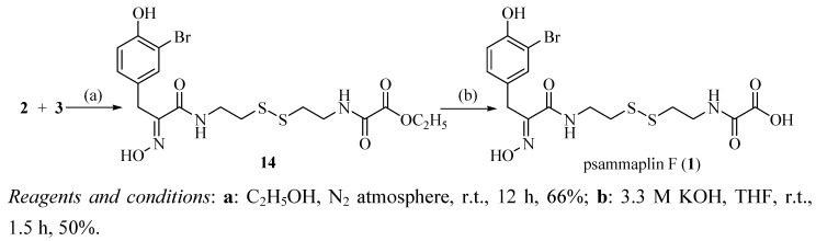 Scheme 3