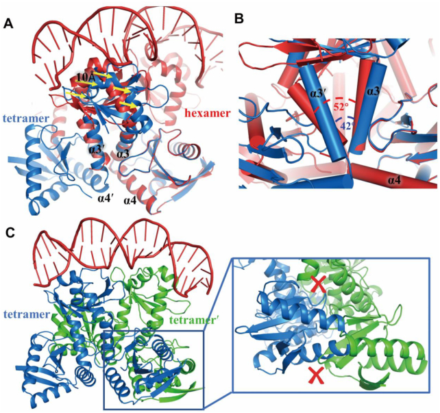 Figure 5.