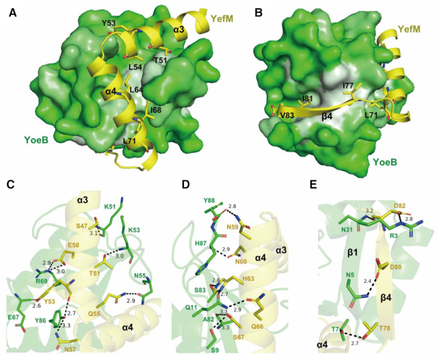 Figure 3.