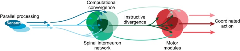 Fig. 3.