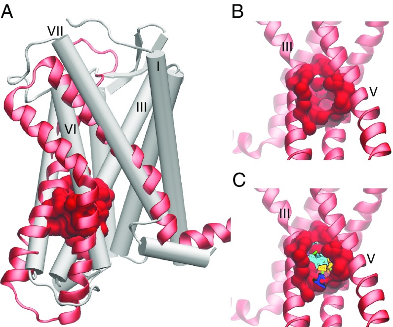 Fig. 4.