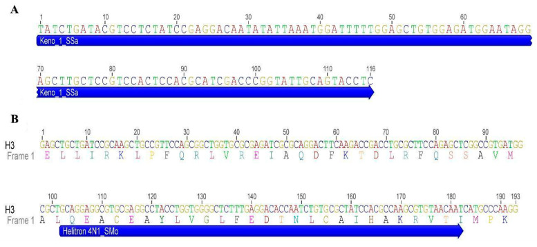 Figure 7