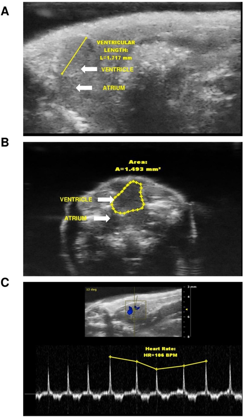 Fig 4