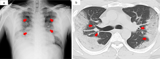 Figure 1.