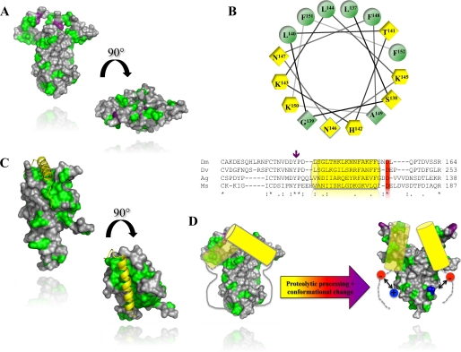 FIGURE 6.