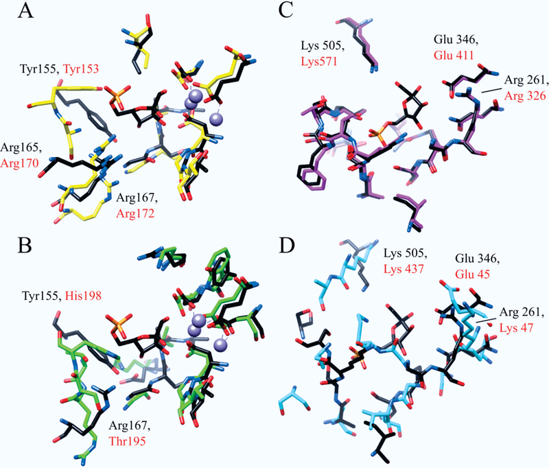 Figure 5.