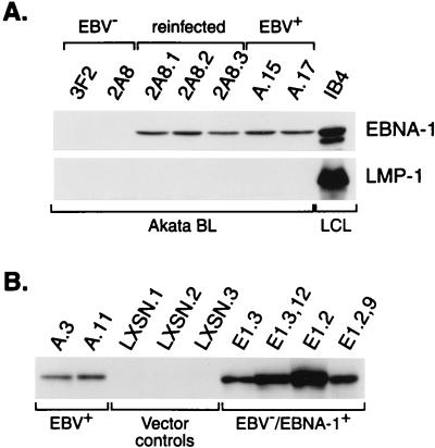 FIG. 7