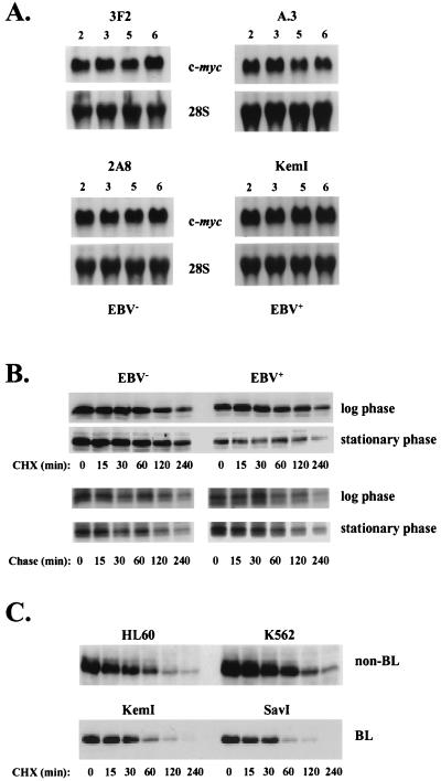 FIG. 6