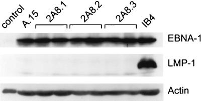 FIG. 10