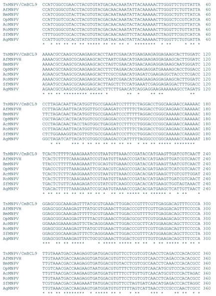 Figure 4A. 