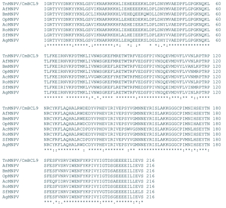 Figure 4B. 