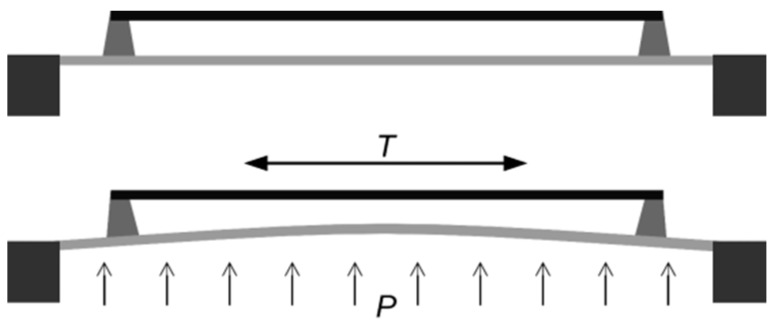 Figure 35