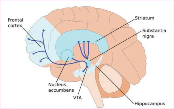 FIGURE 1.