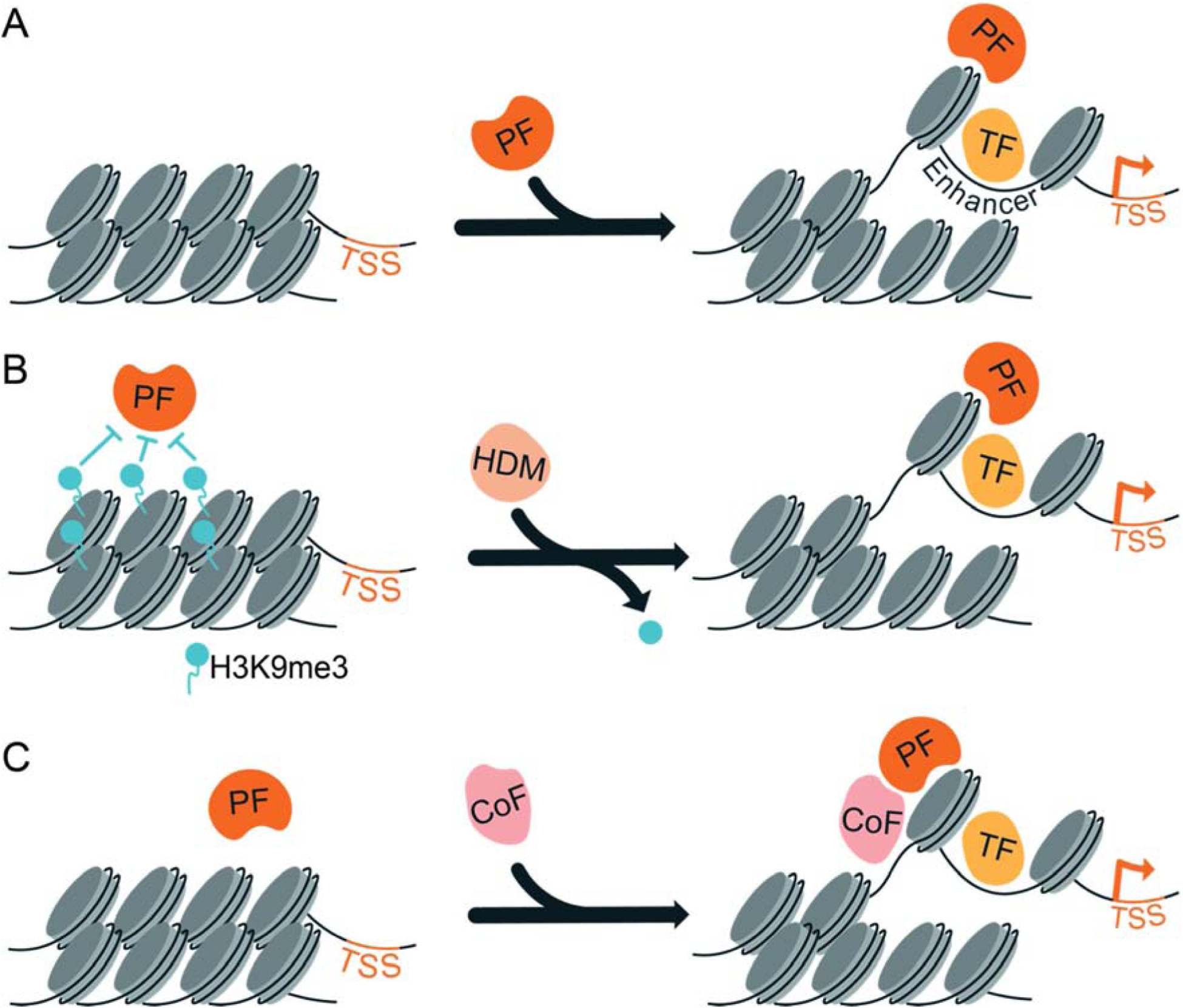 Figure 2: