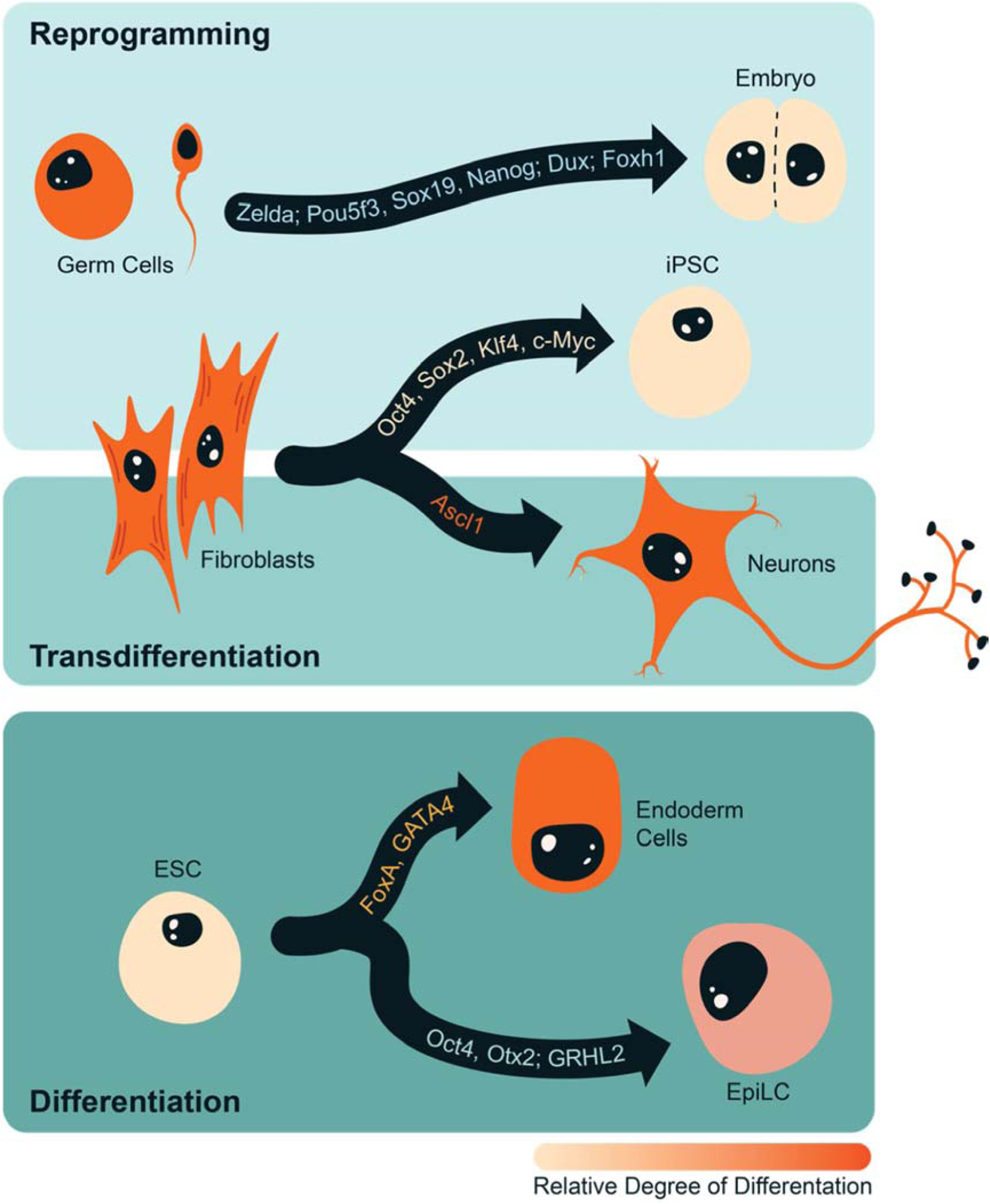 Figure 1: