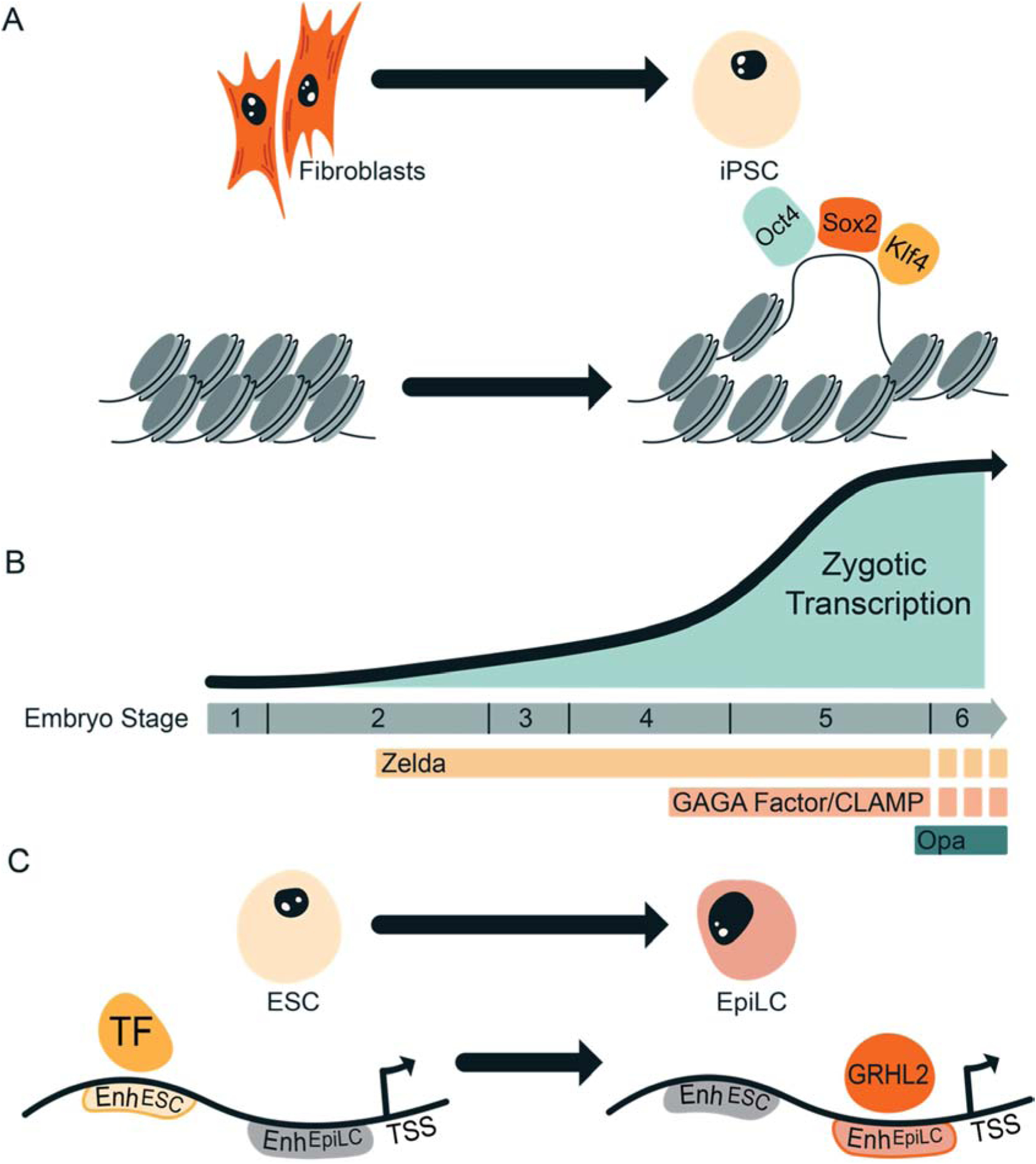 Figure 3: