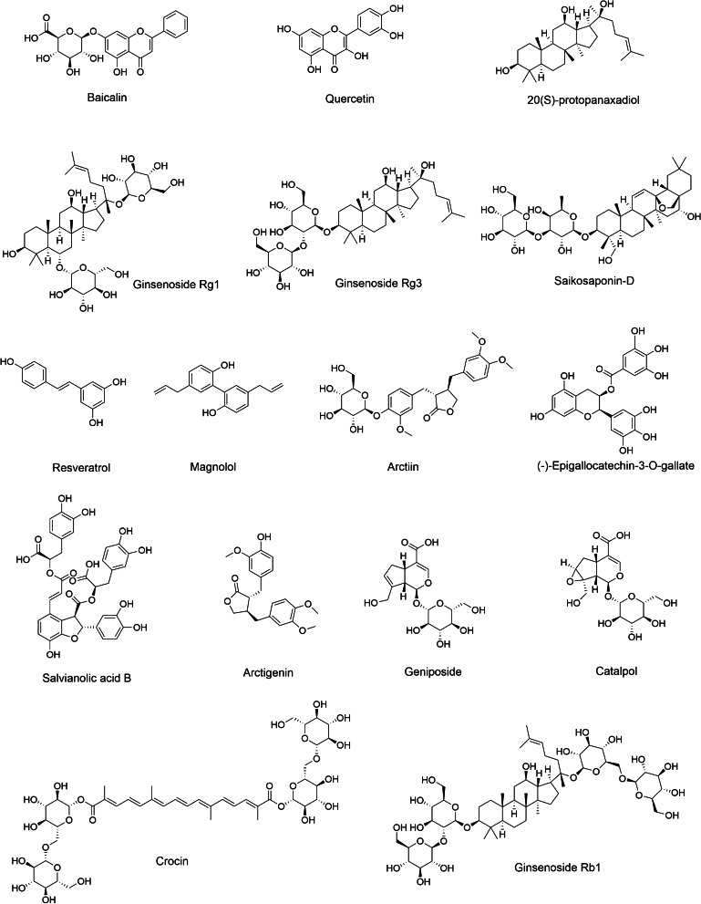 Fig. 5