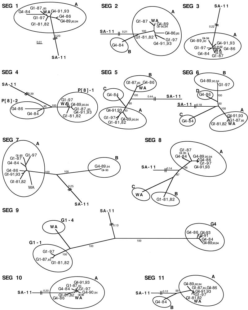 FIG. 3.