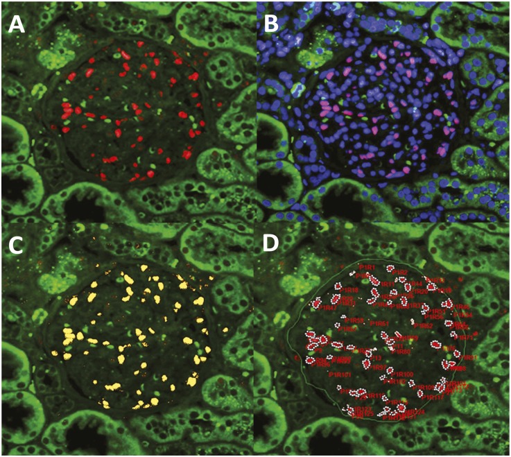 Figure 4.