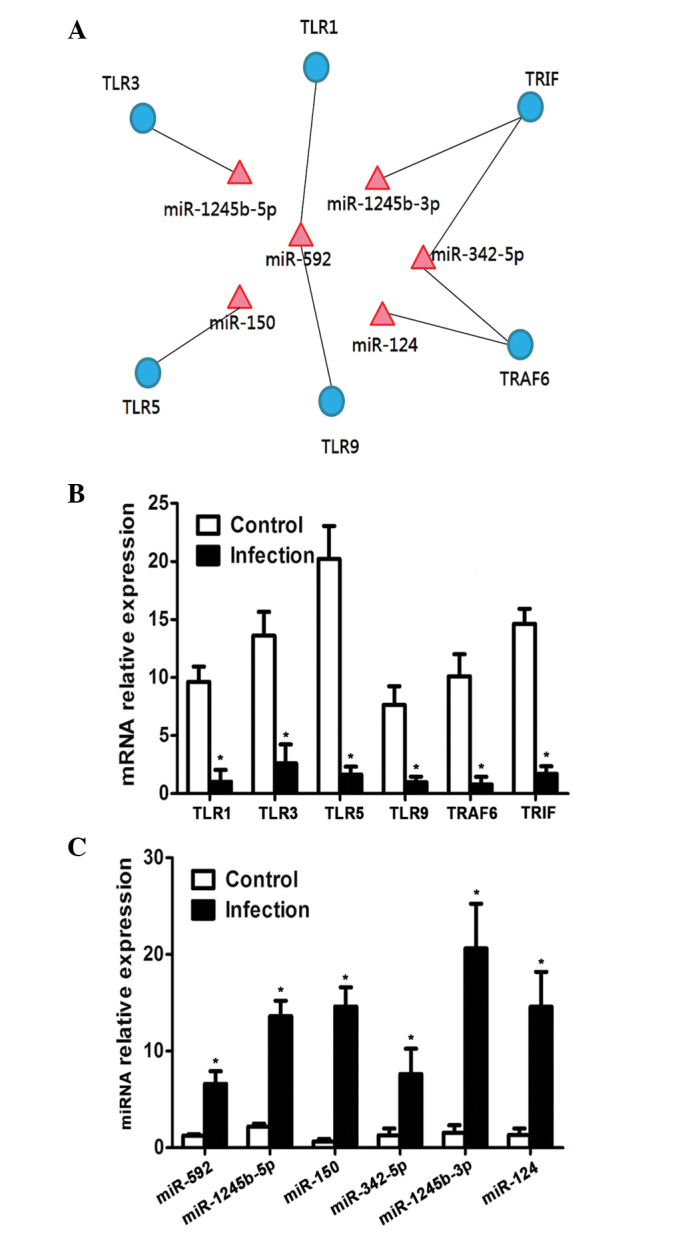 Figure 5.