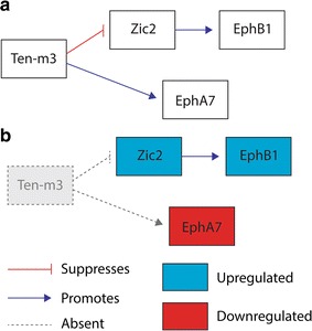 Fig. 8